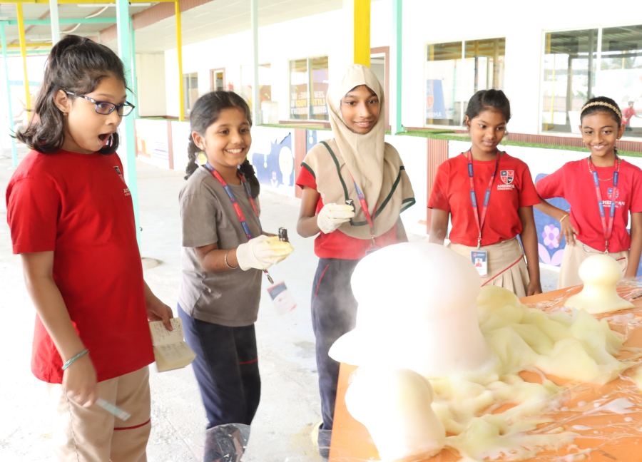 2014 – Curriculum
